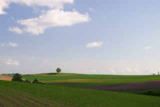 foto,tela,gratis,paisaje,fotografía,idea,El campo en Seven Stars., Campo, Nube, Cielo azul, 