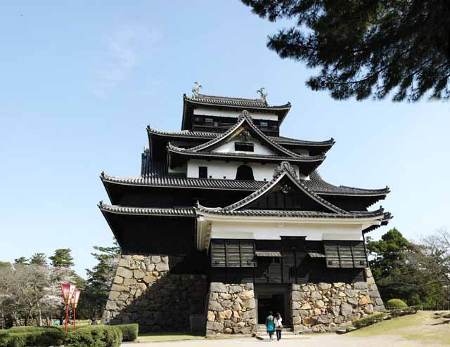 foto,tela,gratis,paisaje,fotografía,idea,La torre de castillo de castillo de Matsue - jo, Cerezo, Cimentación con pilotes - piedras, Castillo, Ishigaki