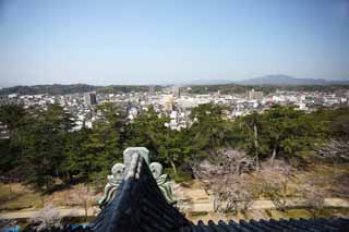 foto,tela,gratis,paisaje,fotografía,idea,La ciudad de Matsue, Azulejo de techo, Edificio, Pino, Cielo azul