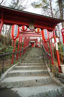 foto,tela,gratis,paisaje,fotografía,idea,Anamoriinari sintoísta santuario de fuente termal de Kusatsu, Torii, Linterna, Kusatsu, Santuario pequeño