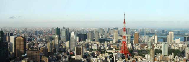 foto,tela,gratis,paisaje,fotografía,idea,Tokio entero opinión, Tokyo Tower, Edificio alto, Bahía de Tokio, La área del centro de la ciudad