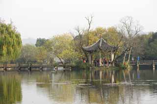 photo, la matière, libre, aménage, décrivez, photo de la réserve,Trois mirroring de piscines la lune, Un arbre, Saiko, surface d'un lac, monument