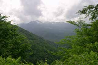 photo, la matière, libre, aménage, décrivez, photo de la réserve,Nuage et été Norikura, montagne, nuage, arbre, vert