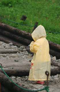 photo, la matière, libre, aménage, décrivez, photo de la réserve,Petit pèlerin, enfant, manteau de la pluie, piste de montagne, prière