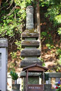 photo, la matière, libre, aménage, décrivez, photo de la réserve,La tombe de Yoritomo Minamoto, tombe, dominez pour le repos d'âmes, Kamakura, chute d'un cheval