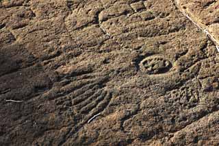 photo, la matière, libre, aménage, décrivez, photo de la réserve,Puako Petroglyph, Lave, Fermez à clé l'art, Petroglyph, kaha-kii