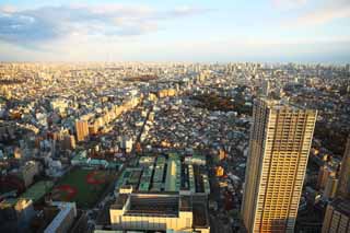 photo, la matière, libre, aménage, décrivez, photo de la réserve,Panorama de Tokyo, construire, Arbre du ciel, , 