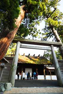 photo, la matière, libre, aménage, décrivez, photo de la réserve,Toyoke Grand Temple à Ise (Geku) plus temple, Ise abandonne, Ise, torii, Nourriture sacrée Dieu capital