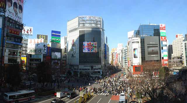 photo, la matière, libre, aménage, décrivez, photo de la réserve,Shibuya intersection libre, foule, marcheur, autobus, enseigne