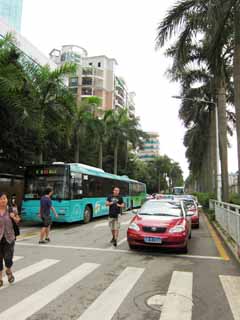 photo, la matière, libre, aménage, décrivez, photo de la réserve,La ville de Shenzhen, , , , 