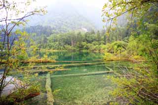 photo, la matière, libre, aménage, décrivez, photo de la réserve,Jiuzhaigou, , , , 