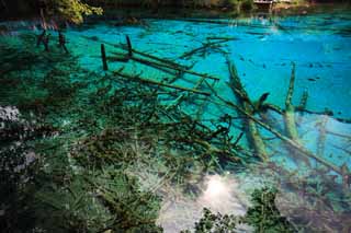 photo, la matière, libre, aménage, décrivez, photo de la réserve,Gohanaumi Jiuzhaigou, , , , 