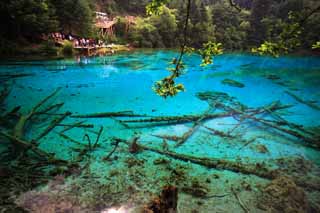 photo, la matière, libre, aménage, décrivez, photo de la réserve,Gohanaumi Jiuzhaigou, , , , 