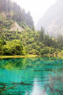 photo, la matière, libre, aménage, décrivez, photo de la réserve,Gohanaumi Jiuzhaigou, , , , 