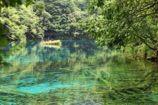 photo, la matière, libre, aménage, décrivez, photo de la réserve,Gohanaumi Jiuzhaigou, , , , 