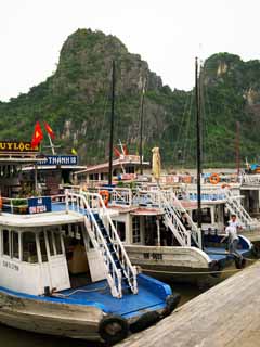 photo, la matière, libre, aménage, décrivez, photo de la réserve,Halong Bay Daugo Island, , , , 