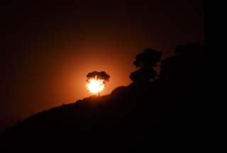 photo, la matière, libre, aménage, décrivez, photo de la réserve,Arbre qui fond au soleil du soir, Le soleil, Le soleil du cadre, , 