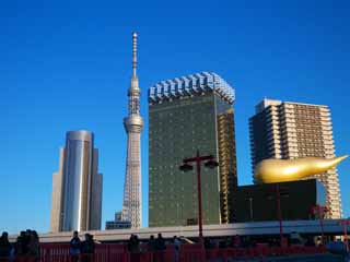 photo, la matière, libre, aménage, décrivez, photo de la réserve,Arborescence du ciel et le Temple de Asakusa, , , , 