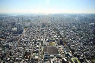 photo, la matière, libre, aménage, décrivez, photo de la réserve,Vue panoramique sur Tokyo, , , , 