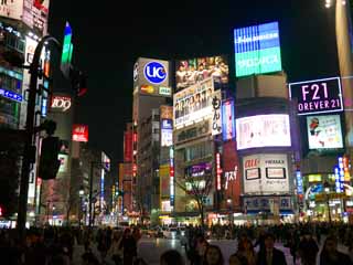 photo, la matière, libre, aménage, décrivez, photo de la réserve,Shibuya, , , , 