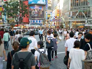 photo, la matière, libre, aménage, décrivez, photo de la réserve,Shibuya, , , , 