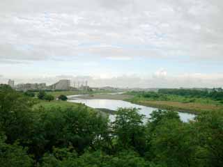 photo, la matière, libre, aménage, décrivez, photo de la réserve,La Tamagawa, , , , 