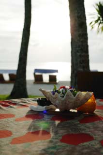 photo, la matière, libre, aménage, décrivez, photo de la réserve,Une plaque de la fleur d'une coquille, coquille, Le soleil du cadre, Le rivage, table