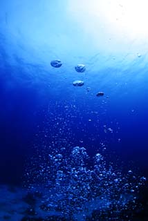 photo, la matière, libre, aménage, décrivez, photo de la réserve,Une bulle d'une plante indigo, Bleu, bulle, Eau, La surface de la mer