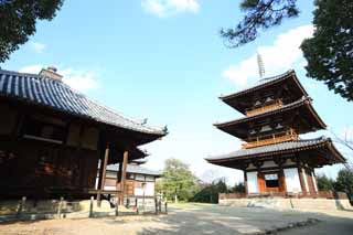 photo, la matière, libre, aménage, décrivez, photo de la réserve,Hokiji Temple, , , , 