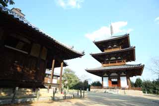 photo, la matière, libre, aménage, décrivez, photo de la réserve,Hokiji Temple, , , , 