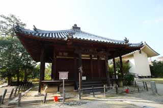 photo, la matière, libre, aménage, décrivez, photo de la réserve,Hokiji Temple, , , , 