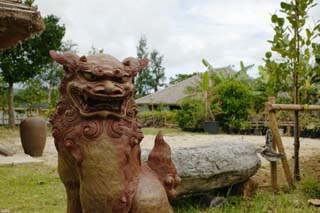 photo, la matière, libre, aménage, décrivez, photo de la réserve,Défense de Monsieur de mer, toit, jardin, Okinawa, maison