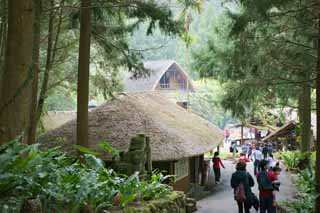 photo, la matière, libre, aménage, décrivez, photo de la réserve,9 Village de la culture familiale, , , , 