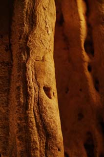 photo, la matière, libre, aménage, décrivez, photo de la réserve,Caverne de la stalactite d'Ishigaki-jima Île, caverne de la stalactite, Stalactite, Calcaire, caverne