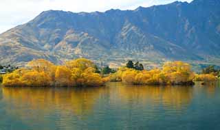 photo, la matière, libre, aménage, décrivez, photo de la réserve,À l'automne du Lac Wakatipu, , , , 