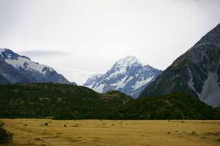 photo, la matière, libre, aménage, décrivez, photo de la réserve,De Mont Cook, , , , 