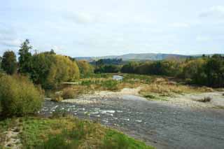 photo, la matière, libre, aménage, décrivez, photo de la réserve,River, , , , 