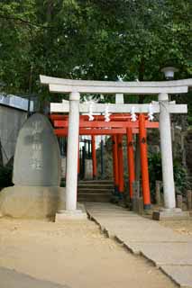 photo, la matière, libre, aménage, décrivez, photo de la réserve,L'Fujidzuka Sendagaya, , , , 