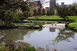 photo, la matière, libre, aménage, décrivez, photo de la réserve,Un japonais jardine, Japonais jardine, étang, pelouse, 