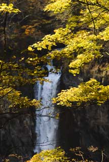 photo, la matière, libre, aménage, décrivez, photo de la réserve,Feuilles colorées de la lumière du soleil chutes Kegon, chute d'eau, Érable, ciel bleu, Bave balancent