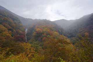 photo, la matière, libre, aménage, décrivez, photo de la réserve,Chute d'eau des feuilles colorée et une chute d'eau de la sagesse, chute d'eau, rivière, Brouillard, Brume