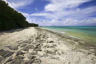 photo, la matière, libre, aménage, décrivez, photo de la réserve,Une plage de sable d'une étoile, nuage, plage, ciel bleu, Vert émeraude