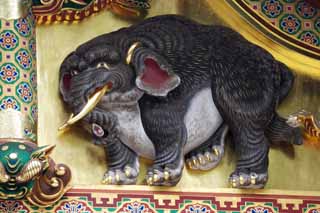 photo, la matière, libre, aménage, décrivez, photo de la réserve,Un éléphant d'imagination de Tosho-gu Temple, Un éléphant d'imagination, Feuille de l'or, Un animal, 