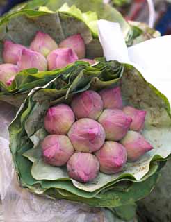 photo, la matière, libre, aménage, décrivez, photo de la réserve,Un bouquet d'un lotus, lotus, , , bouquet