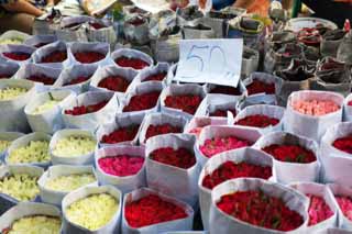 photo, la matière, libre, aménage, décrivez, photo de la réserve,Le comptoir rose, rose, , , marché