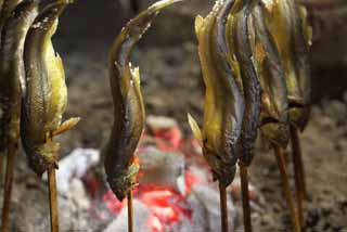 photo, la matière, libre, aménage, décrivez, photo de la réserve,Charbon de bois qui allume un feu d'un sweetfish, sweetfish, , , poisson sucré