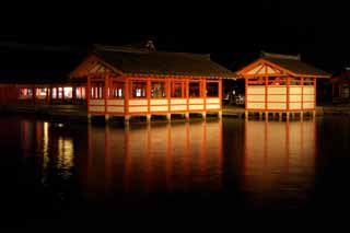 photo, la matière, libre, aménage, décrivez, photo de la réserve,La nuit de Temple Itsukushima-jinja, L'héritage culturel de Monde, temple principal, Temple shintoïste, Je suis rouge du cinabre