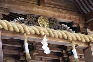 photo, la matière, libre, aménage, décrivez, photo de la réserve,Kompira-san Temple décor Hongu, Temple shintoïste temple bouddhiste, chrysanthème, bâtiment en bois, Shintoïsme