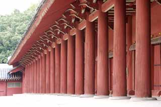 photo, la matière, libre, aménage, décrivez, photo de la réserve,La ligne de piliers de Tadashi, Temple Jongmyo, Service religieux, En premier empereur, le Temple Ancestral Impérial