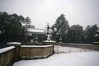 photo, la matière, libre, aménage, décrivez, photo de la réserve,Double pont de neige, Fossé, Palais, Garde impérial, Chute de neige